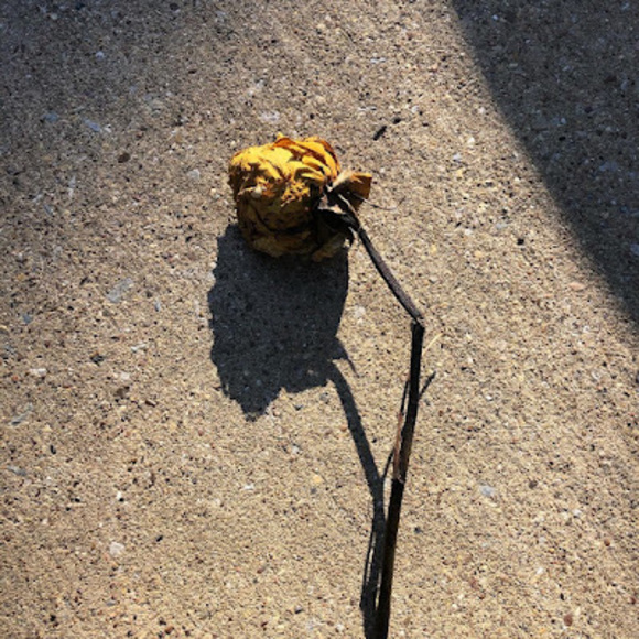 Meet your Posher, Deb. - Picture 1 of 1